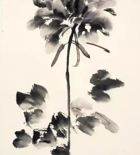 圖片關(guān)鍵詞
